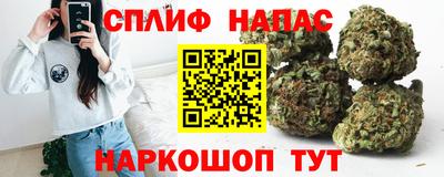 амф Севастополь