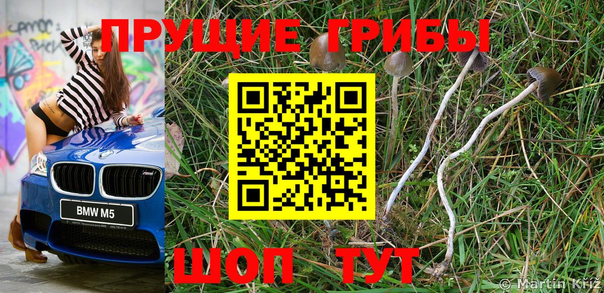 Галлюциногенные грибы Psilocybine cubensis  Вход с VPN  Сегежа 